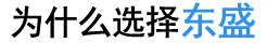 为什么选择东盛